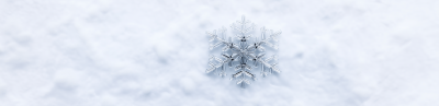 Snowflake on Snow