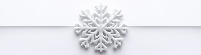 Snowflake on Snow