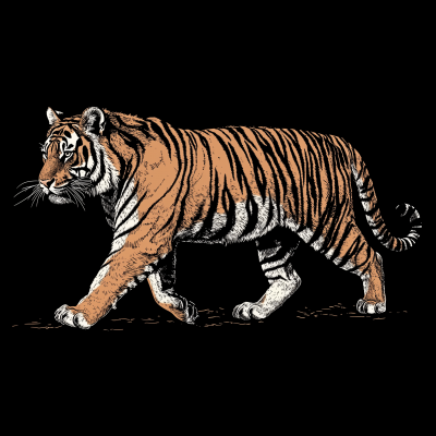 Vintage Tiger Design