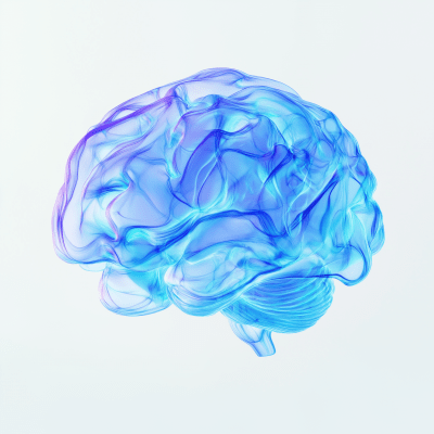 Digital Blue Brain