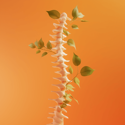 Spine with Leaves Illustration