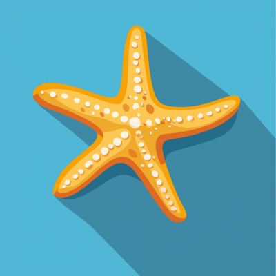 Starfish illustration