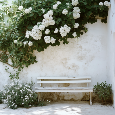 Simple White Garden Wall