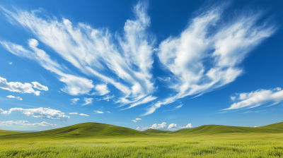 Sky and Cobra Clouds