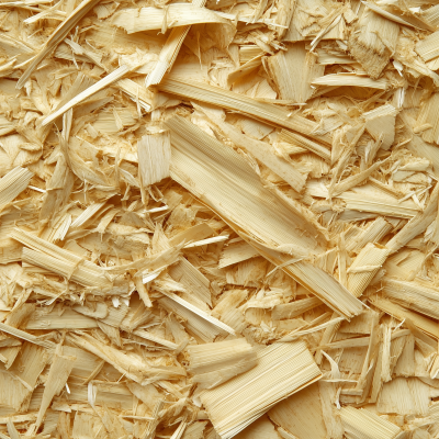 Macro Shot of Bamboo Pulp