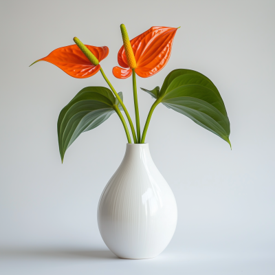 Orange Anthurium in Smooth Vase