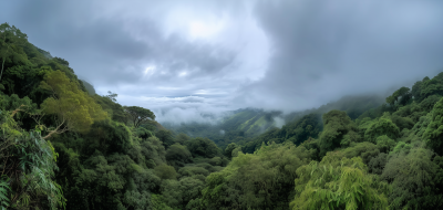 Monteverde Rainforest