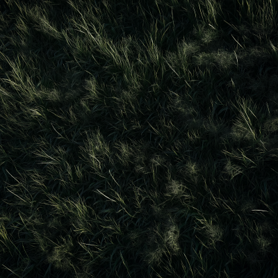 Aerial View of Dark Grass