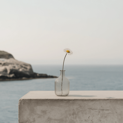 Minimalist Daisy in Vase