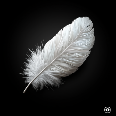 Elegant Turkey Feather