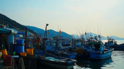 Crab Fishing in Yeonpyeong Island