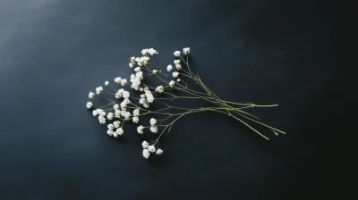 Minimalist Baby’s Breath Still Life