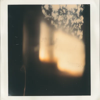 Reflection on Polaroid