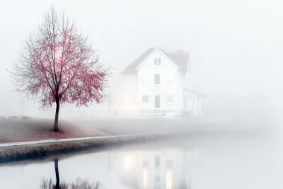 Eerie Autumn Night Landscape