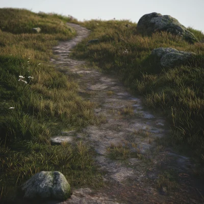 Hiking Path Texture