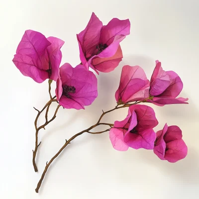 Bougainvillea Branch