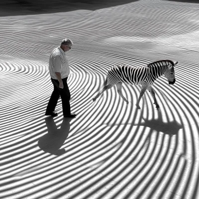 Zebra in Optical Lines