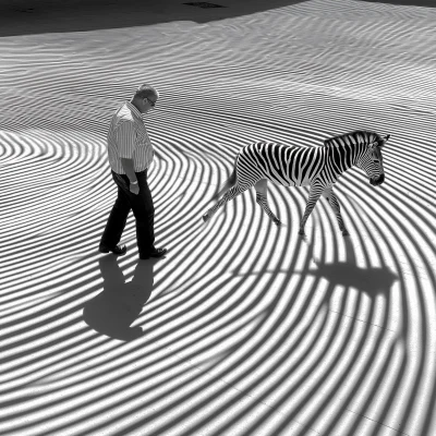 Zebra in Optical Lines