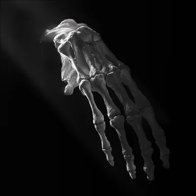 Realistic Bone Hand