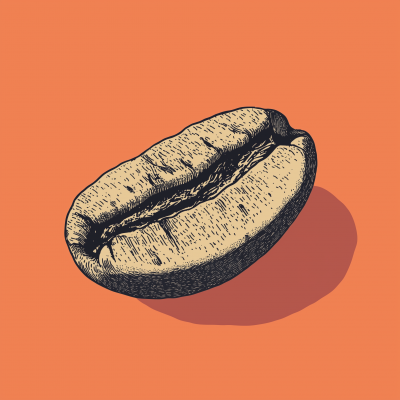 Bold Retro Coffee Bean Process