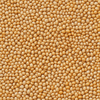 Beautiful Soybean Texture