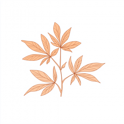 Botanical Cannabis Illustration