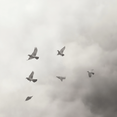 Doves in the Fog