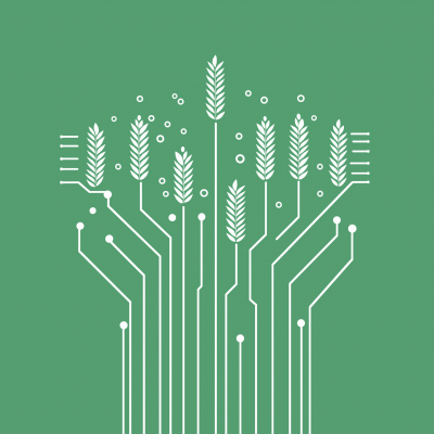 Circuit Board and Wheat Illustration