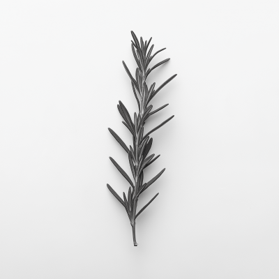 Rosemary Sprig