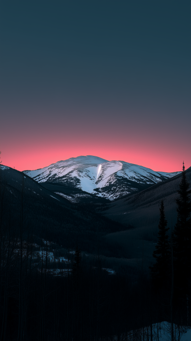 Silhouette of Snow