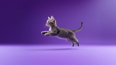 Jumping Happy Tabby Cat