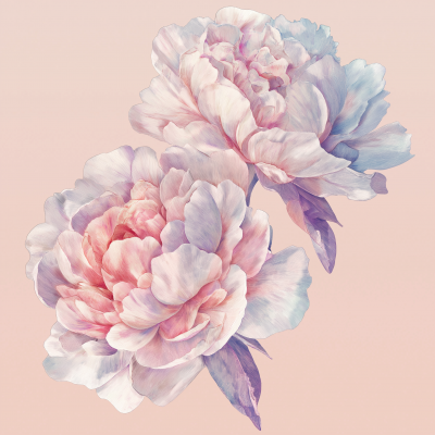 Elegant Peony Scarf Design