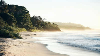 Byron Bay Life