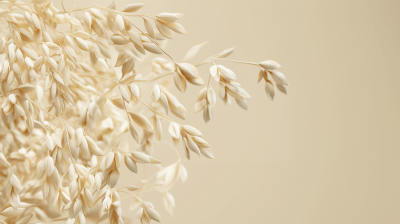 Oat Flower Background