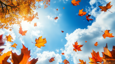 Leaves and Sky