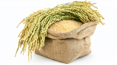 Burlap Sack of Rice
