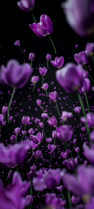 Falling Purple Tulips
