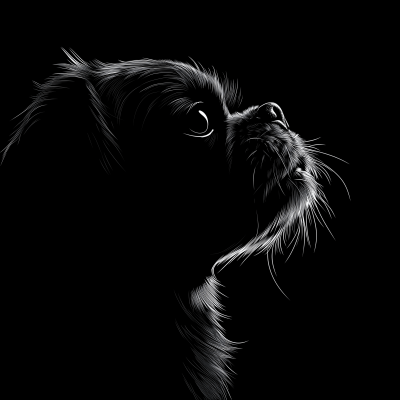 Shih Tzu Head Silhouette