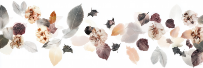 Bat Flowers and Leaf Shapes