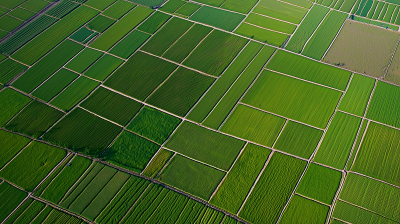 Lush Green Fields