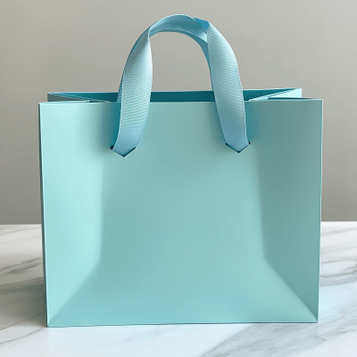 Luxury Shopping Bag