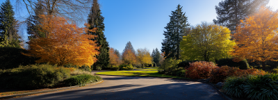Panoramic Park View