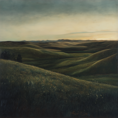 Rolling Hills Landscape