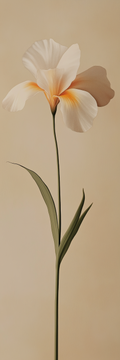 Single Flower Specimen