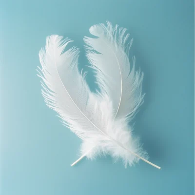 Soft White Feathers