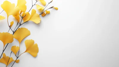 Yellow Ginkgo Leaves