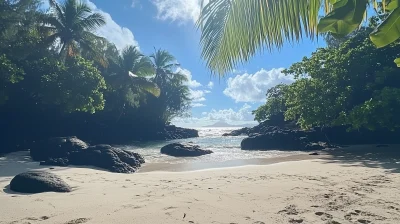 Beautiful Seychelles Beach