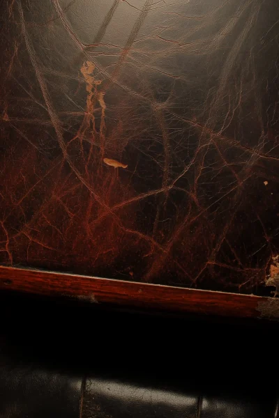 Leather Table from Above