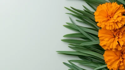 Green Grass and Marigold Flower