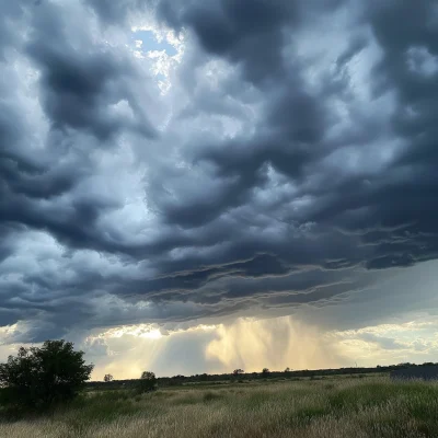 Overcast Sky